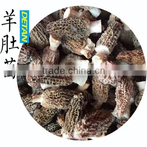 Frozen Processing Type Morels thumbnail-5
