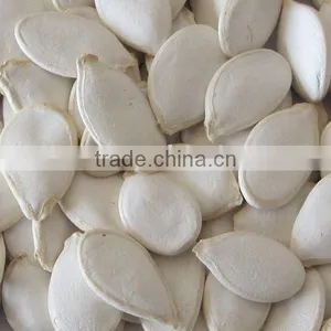 Chinese Pumpkin Seeds thumbnail-1