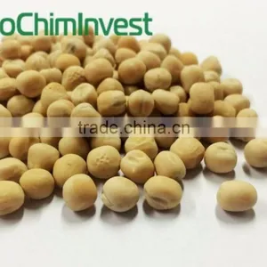 YELLOW PEAS thumbnail-2