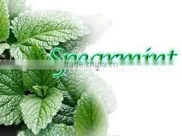 Spearmint Oil From KATYANI EXPORTS thumbnail-1