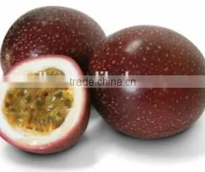 Spanish Passion Fruit Seeds Oil Press Machine Hydraulic Type for European thumbnail-3