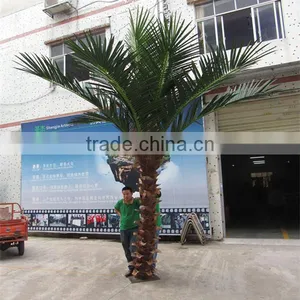 CHY020934 High Quality Palm Tree for Landscaping Decoration thumbnail-6
