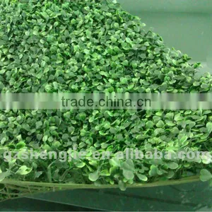 Boxwood Artificial Natural Grass for Restaurant Wall and Roofing Decoration thumbnail-2