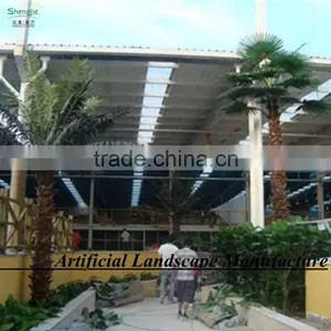 Outdoor Tropical Decorative Palm Trees/hugh Indoor Decorative Palm Tree thumbnail-4