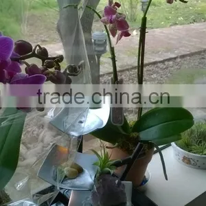 Illuminated Relaxation Water Fountain thumbnail-3