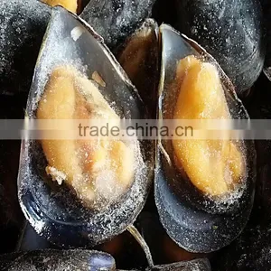 Hot Sale Frozen Cooked Mussels in Full Shell thumbnail-2