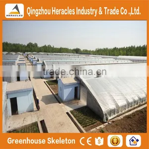 Heracles Low Cost Sunlight Indoor Greenhouse thumbnail-1