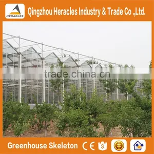ShanDong Trade Assurance Greenhouse Equipment -aluminium Profiles Greenhouse for Sale thumbnail-4
