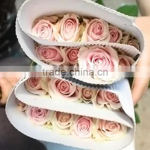 Color Wholesale Fresh Cut Flowers High Grade Cut Fresh Pink Avalache Roses Flowers Climbing Roses thumbnail-6