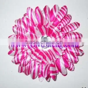 Hot Pink Zebra Flower Hot Pink Zebra Daisies Hair Flowers thumbnail-1