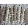 New Crop Fresh Garlic in Carton or Mesh Bags thumbnail-3