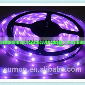 China Supplier SMD Holiday LED Lighting 110 220V 60leds/m Dmx Rgb Led Strip Light thumbnail-4