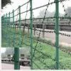 Barbed Iron Wire thumbnail-3