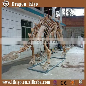 Theme Park High Simulation Dinosaur Skeleton Fossil thumbnail-1