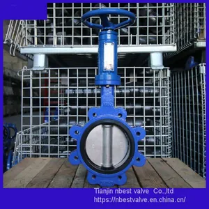 Vertical Wheel DIN Standard PN16 Vertical Gear Lug Butterlfy Valve DN150 thumbnail-2