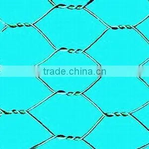 China Factory Sells Hot Dipped /PVC Coated Galvanized Hexagonal Wire Mesh(manufacturer) thumbnail-1