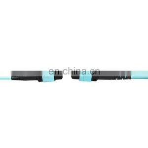 Factory Price MPO(f) to MPO(f) 12f LSZH 3.0m Low Loss Fiber Optic Patch Cord Mpo Trunk Cable thumbnail-2