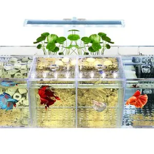 ACRYLIC AQUARIUM AND ACRYLIC FISH TANK thumbnail-1