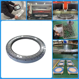 EBL.20.0544.200-1STPN Slewing Ring Bearing Dia 640.8*434*56mm For JIB Crane thumbnail-3