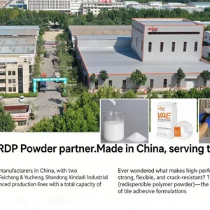 RDP503 China Redispersible Powder /Vae Latex Powder Factory thumbnail-4