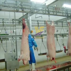 Turnkey Pig Slaughterhouse Machinery Project Hog Abattoir Line Equipment HACCP Swine Butchery Machine Pork Processing Plant thumbnail-4