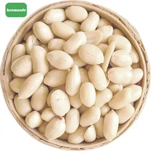 August 12 Blanched Peanut Kernels 29/33 for Snack Packing thumbnail-1