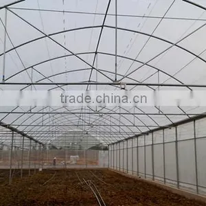 Cheap Film Greenhouses in Middle East thumbnail-2