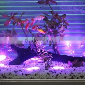 IP68 Waterproof Romantic Underwater Decorative Lights LED Point Light Source thumbnail-1