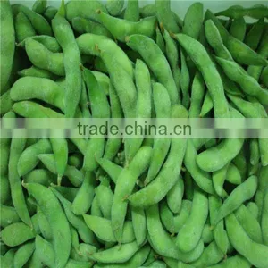 Frozen Edamame Soybean/frozen Green Soybeans Frozen Green Edamame in New Season Crop thumbnail-3
