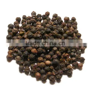 FEZ Moroccan Organic Peppercorn thumbnail-1