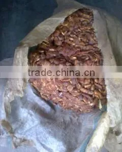 Tamarind thumbnail-3