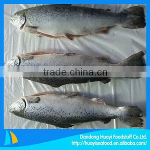 Fresh Frozen Fish Salmon thumbnail-1