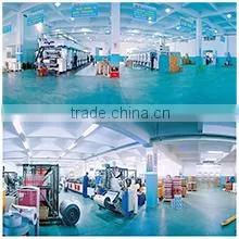 Chaozhou Chaoan Lixing Packaging Co., Ltd. company overview - view 3 thumbnail