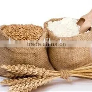 2014Indian Flour Wheat Flour Bread Flour for Sale thumbnail-1