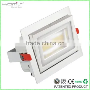 Adjustable Trunk LED Down Light Fixture Commercial Lighting COB Flood Light thumbnail-1