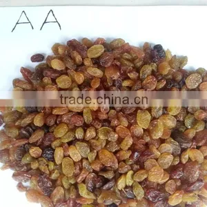 Malayar Raisins thumbnail-3