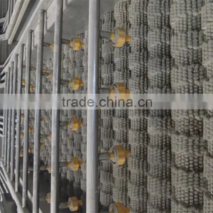 Yam Sorting and Grading thumbnail-6