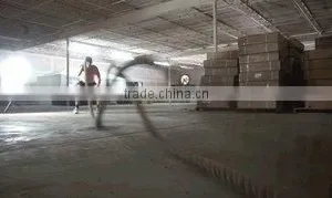 Rizhao Pegasus International Trade Co., Ltd. company overview - view 1 thumbnail