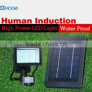 Mini Human Body Induction Outdoor Powered Led Solar Garden Light thumbnail-2