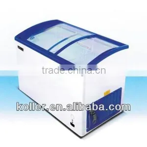 Top Quality Ice Cream Freezer Machine for Supermarkets WDY-300 thumbnail-1