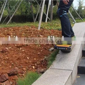 750W High Speed Balanced Electric Scooter thumbnail-1