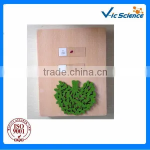 120pcs Wooden Box for Prepared Slides thumbnail-1