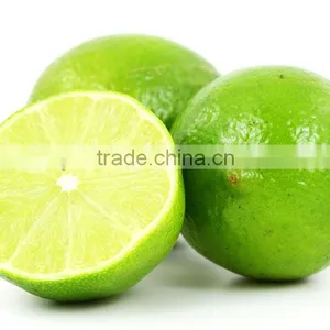 Yellow Lemon Supplier From India / Singapore / Malaysia / Thailand thumbnail-1