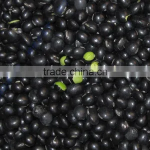16.5% Moisture Round and Made in China for Black Bean With Green Kernel thumbnail-6