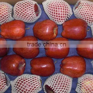 2012 Fresh Huaniu Apple thumbnail-1