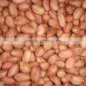 Red Peanut Kernels thumbnail-1