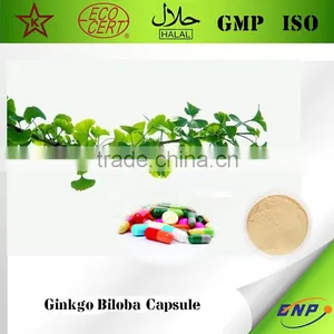BNP Supplies Best Quality Ginkgo Biloba Extract Powder Capsule thumbnail-1