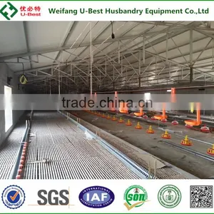 U-BEST Full Automatic Poultry Equipment for Breeder Chicken thumbnail-1