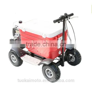 Hot Sale Gas Cooler Scooter for BBQ/43cc EPA Ice Chest Scooter (TKS-S43) thumbnail-2