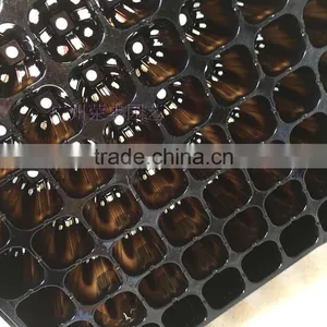 420 Cell Black HIPS Vegetable Plants Seed Nursery Trays, Stock MOQ 1000pcs thumbnail-1